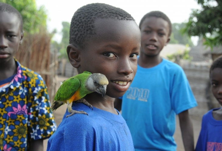 rencontre afrique sénégal